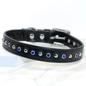Domed Delight Cute Dog Collar - Petiquette Collars