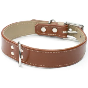Double Trouble wide leather dog collar - Acorn & Mushroom - Petiquette Collars