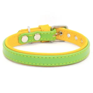 Two Tone Leather Dog Collar daffodil lime Petiquette Collars