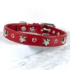 Ahoy There Skull and Crossbones Dog Collar