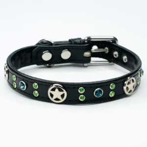 Deputy Dog - Sheriff Dog Collar - Petiquette