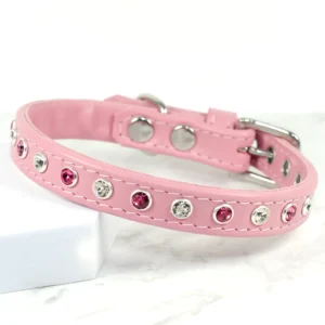 diamante dog collar - Straight Flush - Petiquette Collars