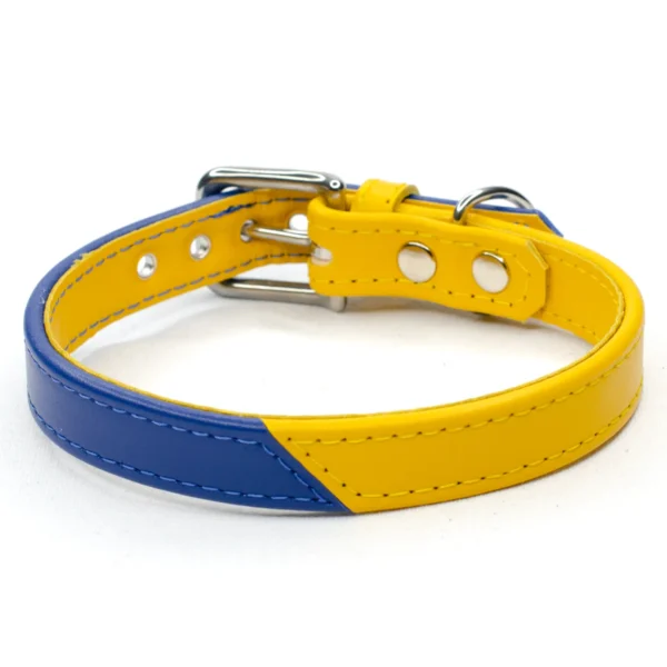 Half and Half leather dog collar - Daffodil and Signal Blue - Petiquette Collars