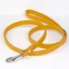 handmade leather dog collar in daffodil yellow by Petiquette