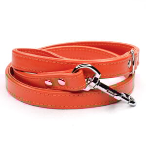 handmade leather lead - jaffa - Petiquette Collars