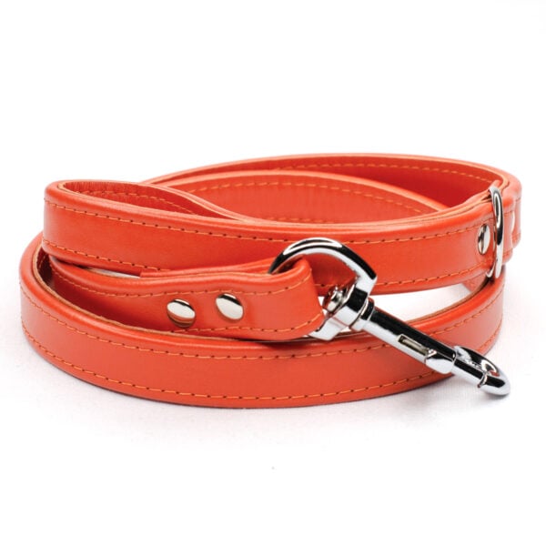 handmade leather lead - jaffa - Petiquette Collars