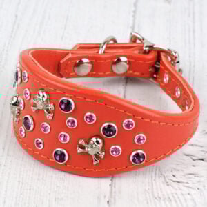 Italian greyhound designer dog collar