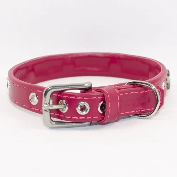 Leather dog collar with stars and crystal - Petiquette Collars