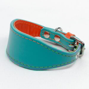 Colour Contrast Collar for Small Sighthounds - Petiquette Collars