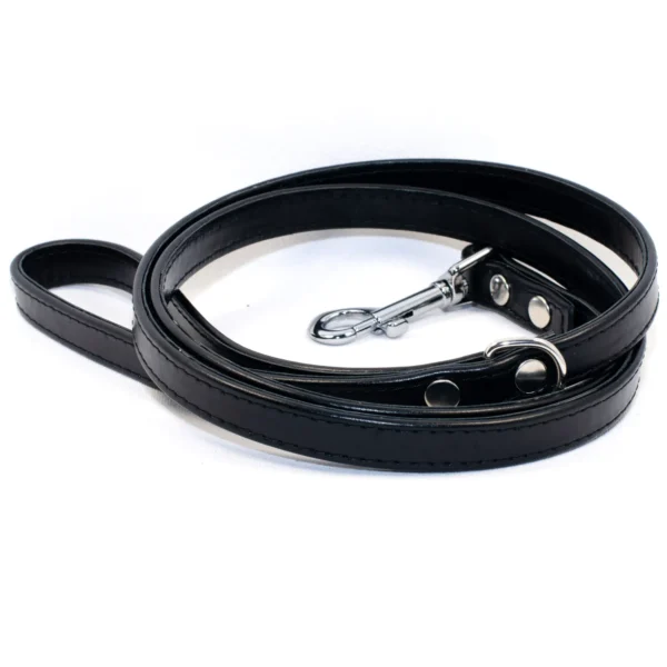 plain leather dog lead - black - Petiquette Collars