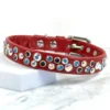 red leather dog collar with swarovski crystals - chaos theory - petiquette collars