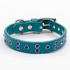 Doggy Dazzler - custom dog collar - Petiquette