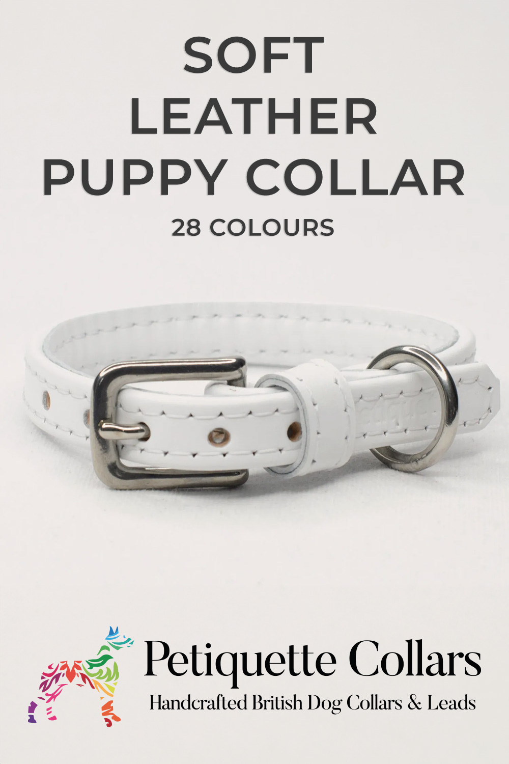 Soft leather puppy collar in white with stainless steel buckle, displayed on a light background with Petiquette Collars branding.