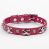 studded dog collar