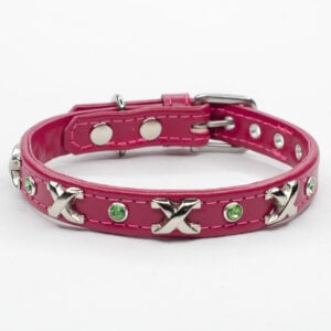 studded dog collar