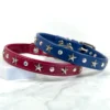 swarovski crystal star studded dog collar, handmade by Petiquette Collars