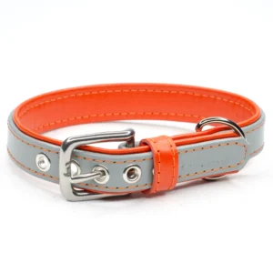 Two Tone leather collar for dogs - dove and jaffa - Petiquette Collars