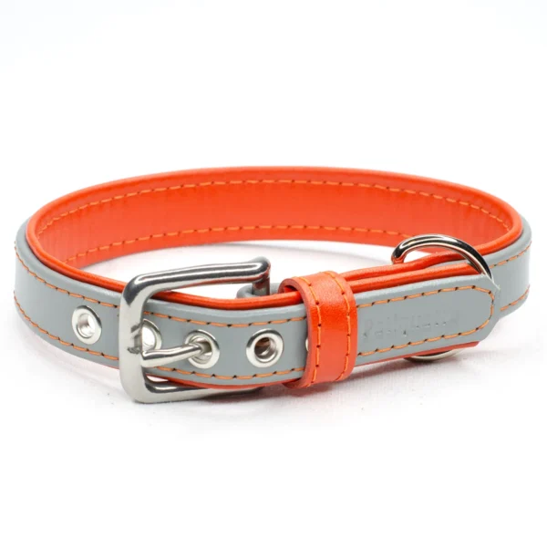 Two Tone leather collar for dogs - dove and jaffa - Petiquette Collars
