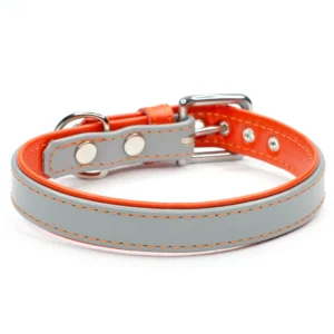 Two Tone leather dog collar - Dove & Jaffa - Petiquette Collars