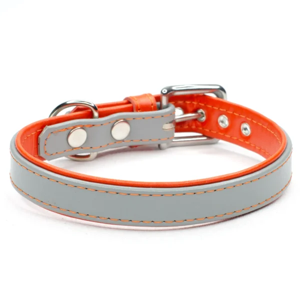 Two Tone leather dog collar - Dove & Jaffa - Petiquette Collars
