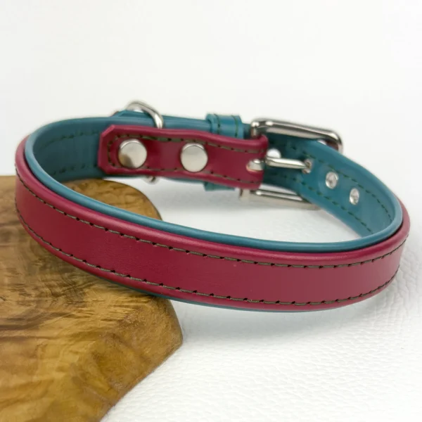 Two Tone leather dog collar by Petiquette Collars