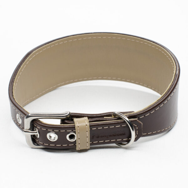 two tone sighthound collar