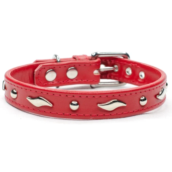Waverider studded dog collar - Petiquette Collars