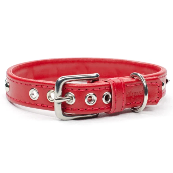 waverider studded leather dog collar ruby petiquette collars