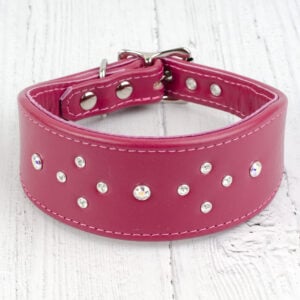 bespoke whippet collar