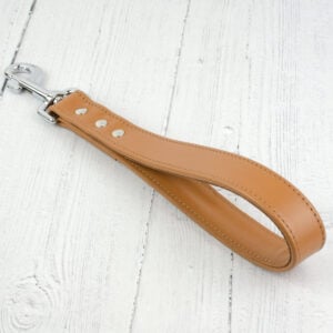 close control handle lead