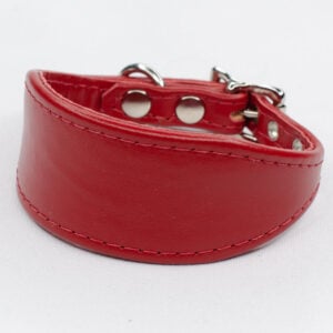 greyhound puppy collar