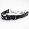 half check leather dog collar - Petiquette Collars