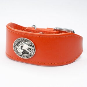 hound head sight hound collars - petiquette collars