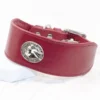 hound head traditional lurcher collar - Petiquette Collars