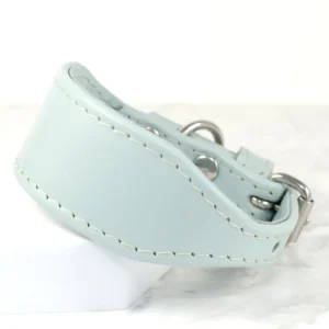 A spearmint leather coloured collar for an Italian Greyhound puppy, made by Petiquette