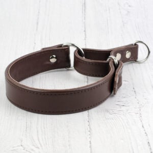 leather martingale collar