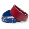 a blue and a red leather whippet collar handmade by Petiquette Collars