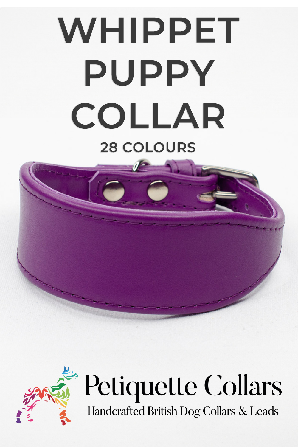Vertical Pinterest image of a handmade purple leather Whippet puppy collar with a tapered fishtail shape, stainless steel hardware, and soft finish. Displayed on a white background with “Whippet Puppy Collar – 28 Colours” text and the Petiquette Collars logo.