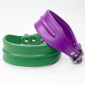 Line Dancer Stylish Whippet Collar - Petiquette Collars