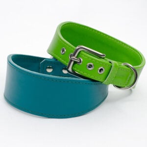 luxury leather greyhound collar