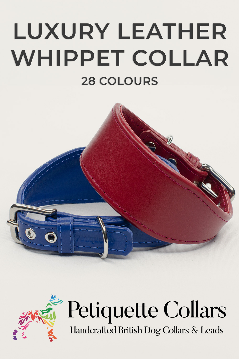 Vertical Pinterest image of two luxury leather Whippet collars in red and blue, shown with a supportive tapered fishtail shape and stainless steel buckles, handmade in the UK and available in 28 colours.