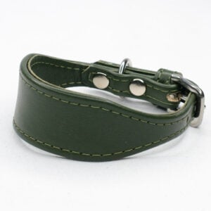 olive green italian greyhound puppy collar - Petiquette Collars