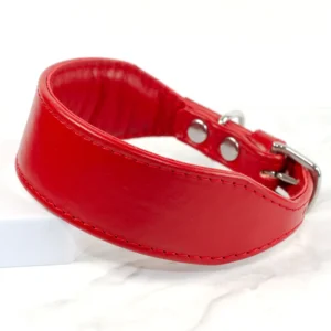 a vibrant red leather puppy collar for greyhounds and lurchers, handmade byPetiquette Collars