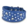 studded whippet collar