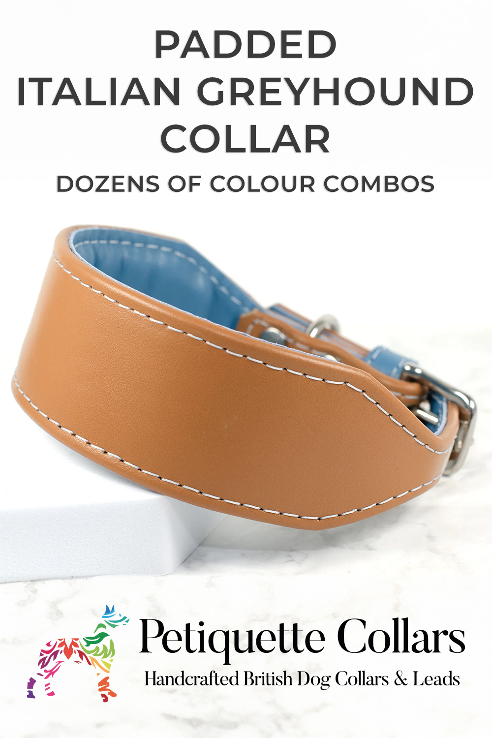 Tan and blue padded Italian Greyhound collar made from soft leather, displayed on a white background with Petiquette Collars branding.
