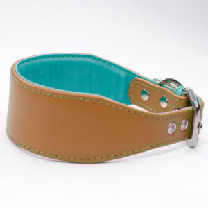 padded leather greyhound collar - petiquette collars