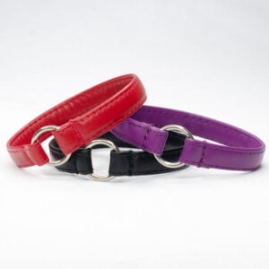 Flat House Collar - Petiquette Collars