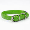 green cat collar - Petiquette Collars