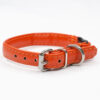 orange cat collar - Petiquette Collars