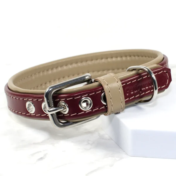 Padded leather dog collar - chianti - Petiquette Collars